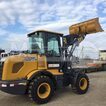 Фото: Фронтальный погрузчик XCMG LW180K - 2