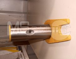 Фото: Палец 251702733