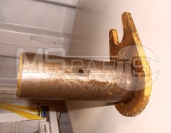 Фото: Палец 252604961
