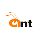 ANT